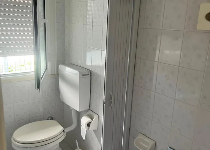 Carol צ'סנטיקו