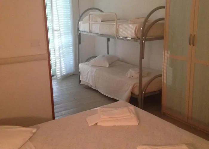 Carol צ'סנטיקו